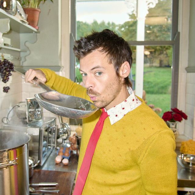 El fin de una era: ¿Se retira Harry Styles?